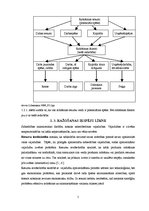 Referāts 'Ražošanas iespēju modelēšana', 5.