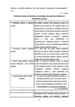 Referāts 'Ražošanas iespēju modelēšana', 14.
