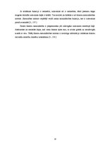 Referāts 'Ražošanas iespēju modelēšana', 19.
