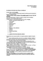 Konspekts 'Senās Romas kultūra', 1.