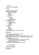 Konspekts 'Senās Romas kultūra', 7.