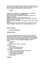 Konspekts 'Senās Romas kultūra', 10.