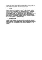 Konspekts 'Senās Romas kultūra', 12.