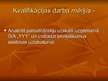 Prezentācija 'Pamatlīdzekļu uzskaite un organizācija SIA "YYY"', 2.