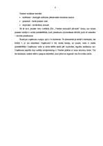 Prakses atskaite 'Kvalifikācijas prakse. Biroja darba organizācija un vadība', 4.