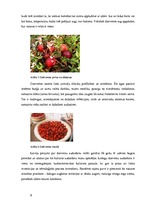 Biznesa plāns 'Dzērveņu audzēšana. Projekts', 8.