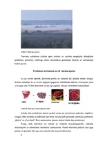 Biznesa plāns 'Dzērveņu audzēšana. Projekts', 9.