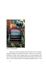 Biznesa plāns 'Dzērveņu audzēšana. Projekts', 14.