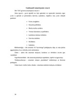 Biznesa plāns 'Dzērveņu audzēšana. Projekts', 30.