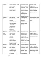 Biznesa plāns 'Dzērveņu audzēšana. Projekts', 34.