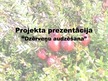 Biznesa plāns 'Dzērveņu audzēšana. Projekts', 77.