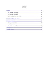 Referāts 'Viduslaiku māksla un estētika', 1.