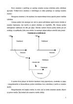 Konspekts 'Cena', 3.