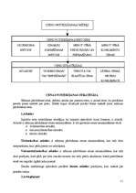 Konspekts 'Cena', 11.