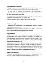 Referāts 'Radošā darbnīca "Gadalaiki"', 3.