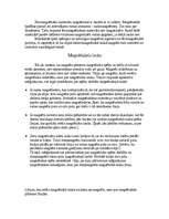 Konspekts 'Magnētisms', 3.