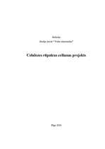 Referāts 'Celulozes rūpnīcas celšanas projekts', 1.