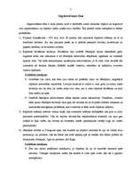 Referāts 'Celulozes rūpnīcas celšanas projekts', 7.