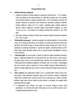 Referāts 'Celulozes rūpnīcas celšanas projekts', 8.