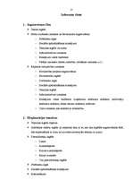 Referāts 'Celulozes rūpnīcas celšanas projekts', 13.