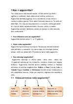 Referāts 'Apgaismība', 2.