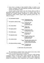 Diplomdarbs 'Latvijas un ārvalstu uzņēmumu apvienošanās un pārņemšanas darījumi un to novērtē', 24.