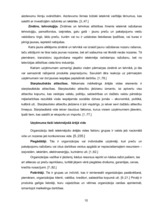 Referāts 'Mārketinga vides vērtējums SIA "Cers Projekti"', 10.