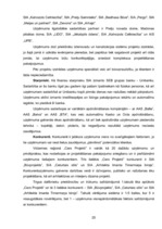 Referāts 'Mārketinga vides vērtējums SIA "Cers Projekti"', 25.