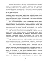 Referāts 'Mārketinga vides vērtējums SIA "Cers Projekti"', 29.