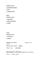 Prakses atskaite 'Aprūpes plāns', 11.