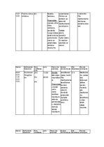 Prakses atskaite 'Aprūpes plāns', 14.