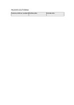 Prakses atskaite 'Aprūpes plāns', 16.