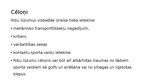 Prezentācija 'Iegurņa kaula lūzumi, iegurņa stabilizācijas tehnikas. Krūšu kurvja, krūšu kaula', 19.