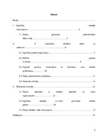 Referāts 'Skolvadība. X vidusskolas dokumentācijas apskats', 2.