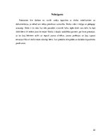 Referāts 'Skolvadība. X vidusskolas dokumentācijas apskats', 22.