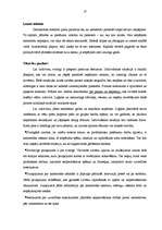 Referāts 'Zemestrīces', 10.