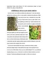 Referāts 'Sūnas', 3.