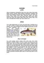 Referāts 'Zivis', 1.