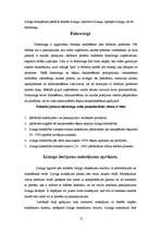 Referāts 'Līzings un tā uzskaite finanšu grāmatvedībā', 12.