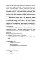 Referāts 'Līzings un tā uzskaite finanšu grāmatvedībā', 13.