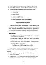 Referāts 'Līzings un tā uzskaite finanšu grāmatvedībā', 16.