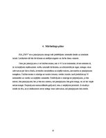 Biznesa plāns 'Biznesa plāns volejbolā', 10.