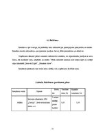 Biznesa plāns 'Biznesa plāns volejbolā', 11.