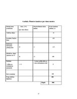 Biznesa plāns 'Biznesa plāns volejbolā', 17.