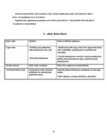 Biznesa plāns 'Biznesa plāns volejbolā', 19.