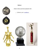 Biznesa plāns 'Biznesa plāns volejbolā', 20.