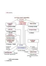 Referāts 'Latvijas Ārstu biedrības - sabiedriskas bezpeļņas organizācijas - darbības analī', 11.