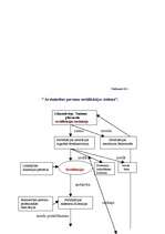 Referāts 'Latvijas Ārstu biedrības - sabiedriskas bezpeļņas organizācijas - darbības analī', 34.