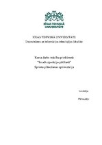 Paraugs 'Sprintu plānošanas optimizācija', 1.