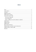 Paraugs 'Sprintu plānošanas optimizācija', 2.